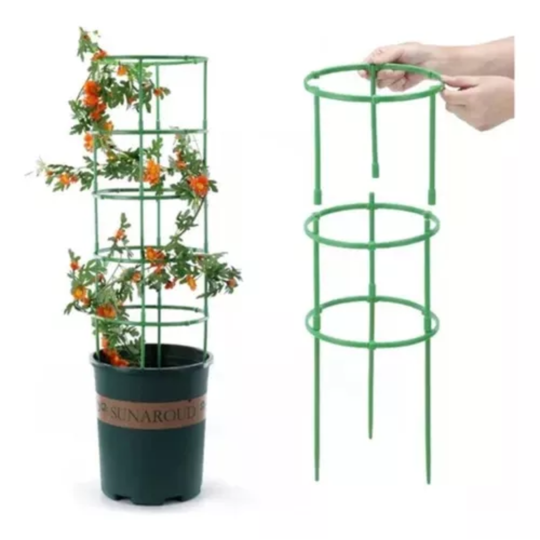 Soporte Plantas Enrredaderas