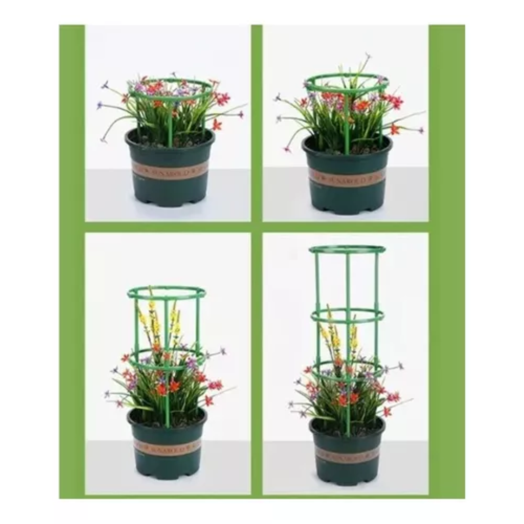 Soporte Plantas Enrredaderas